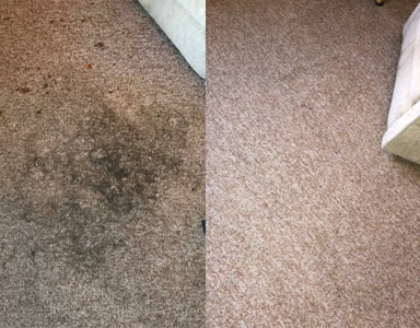 about Eco Carpet Cleaning Rickmansworth