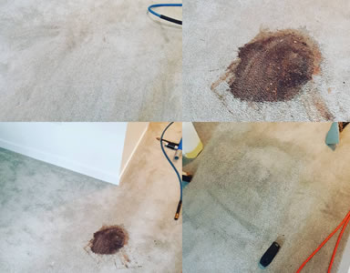 Carpet cleaning cost in Hertfordshire