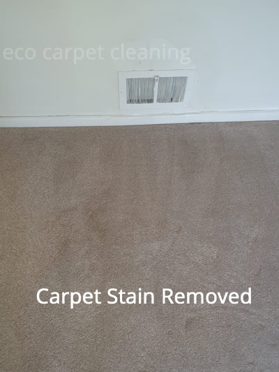 eco carpet cleaning remove carpet stains